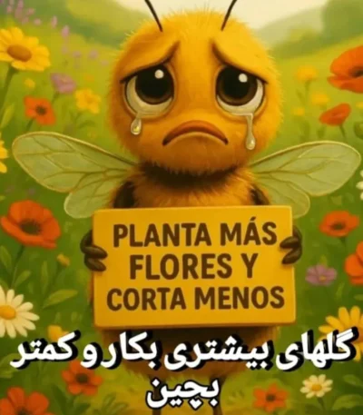 نحوه مصرف عسل برای معده
