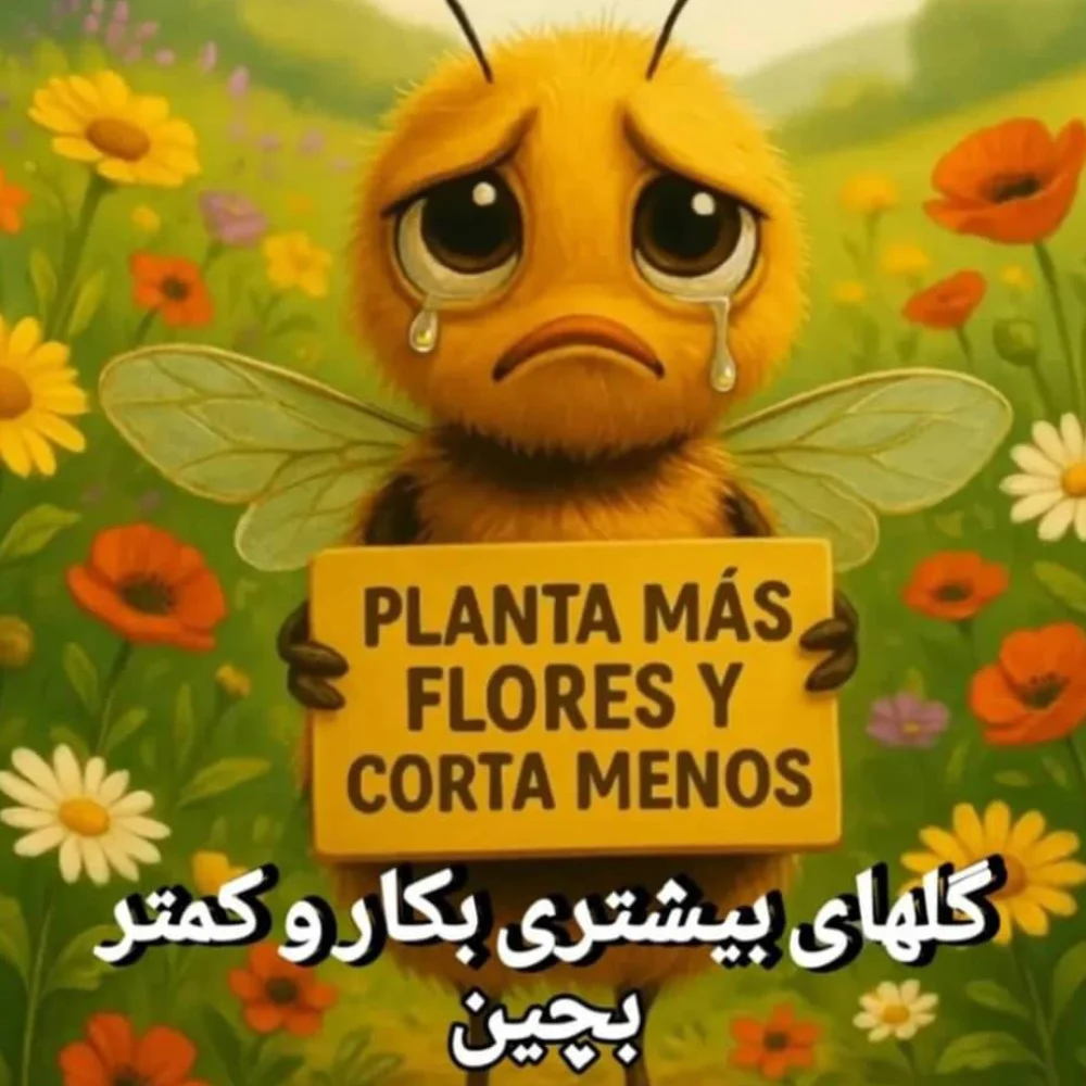 نحوه مصرف عسل برای معده