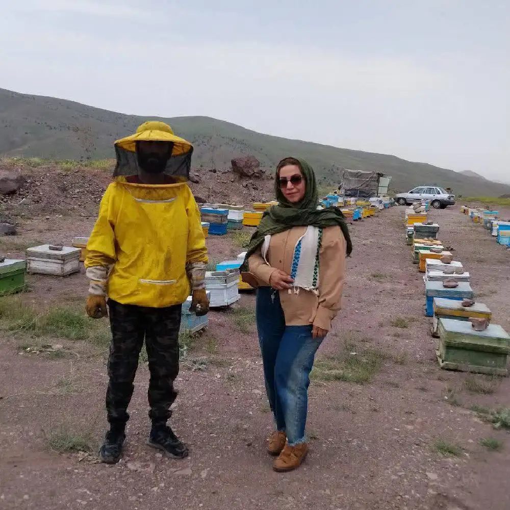 زنبورستان رایکا