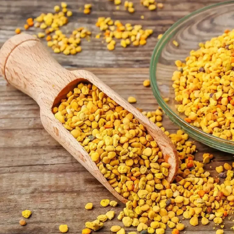 گرده گل رایکا