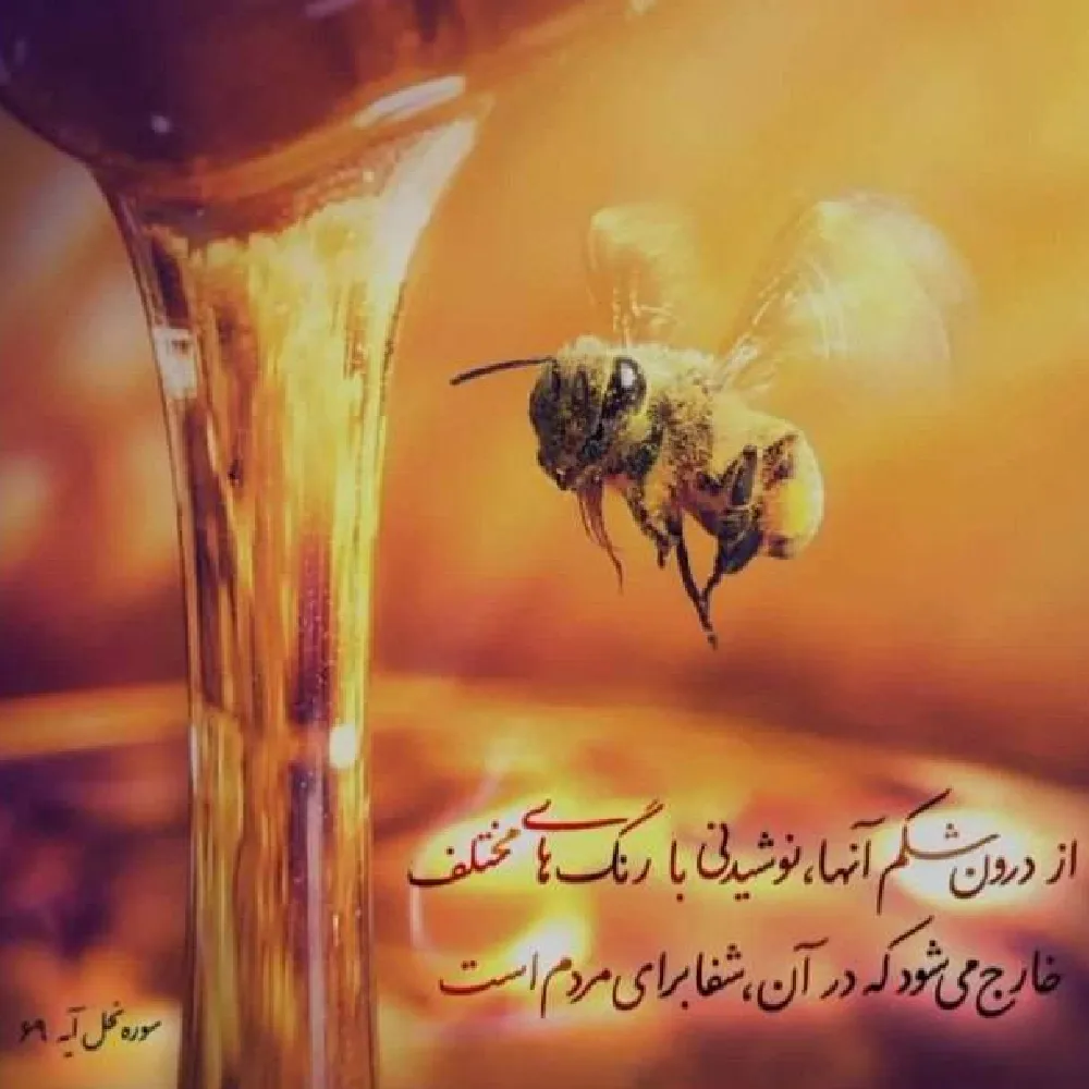عسل در قرآن