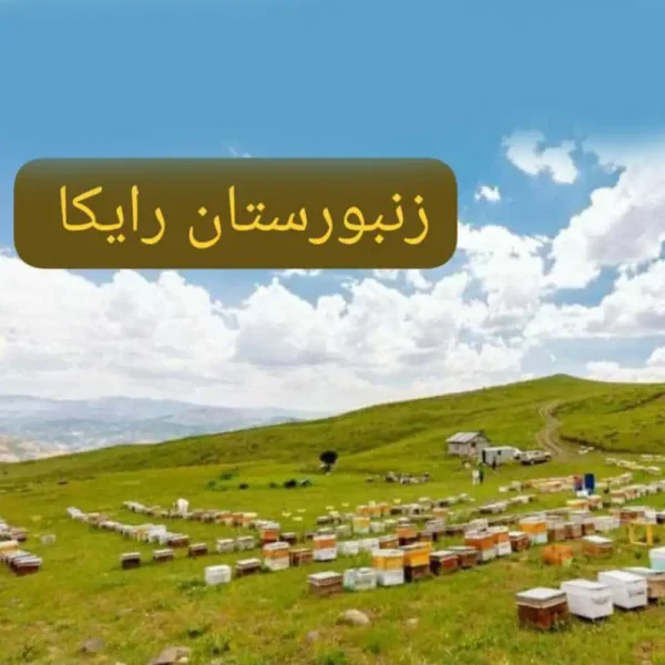 عسل گون طبیعی