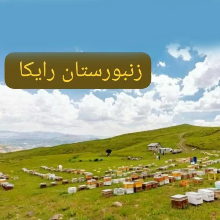 عسل گون طبیعی