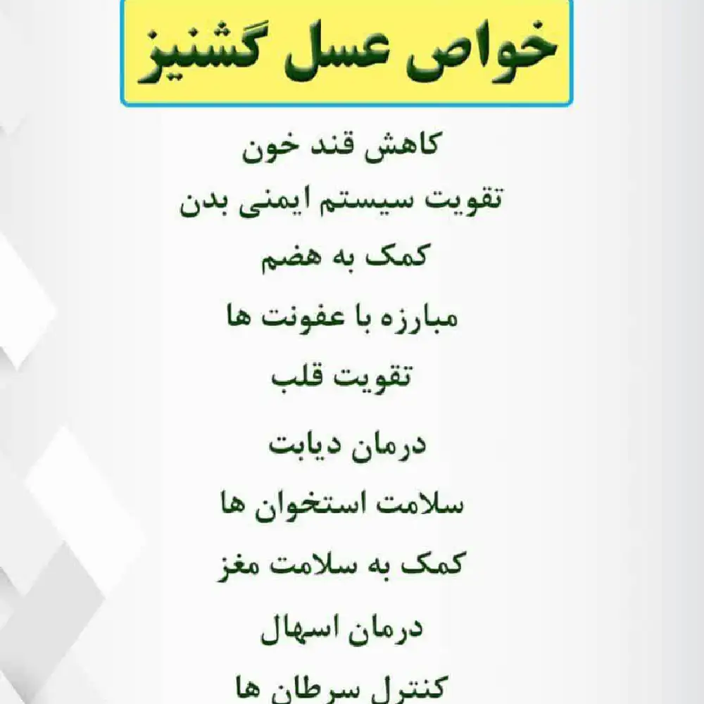 New Project (7) عسل گشنیز - Image 1